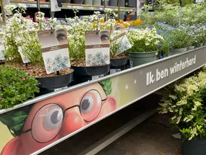 Tuinplanten specialist